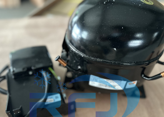 kupować EMS6170Z Sprężarka chłodnicza R134a 220~240V-1-50Hz 1 faza online manufacture
