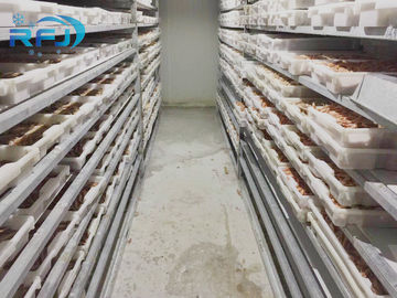 Fresh Tuna Small Tunnel Plate Blast Walk In Freezer Przemysłowy Seafood Iqf Cold Contact Panel